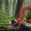 Cobra Interativa - Brinquedo para Gatos